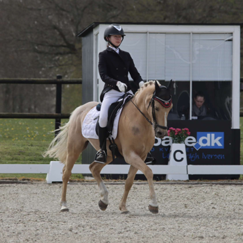 Malou Kiran Grewal - Show Jumping and Dressage